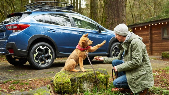 Crown Subaru of Wheeling in Triadelphia WV